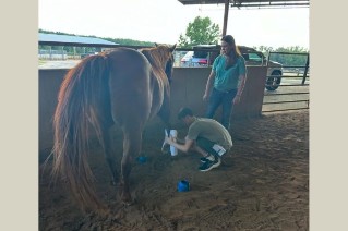 students with horse